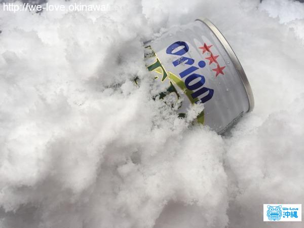 雪オリオン