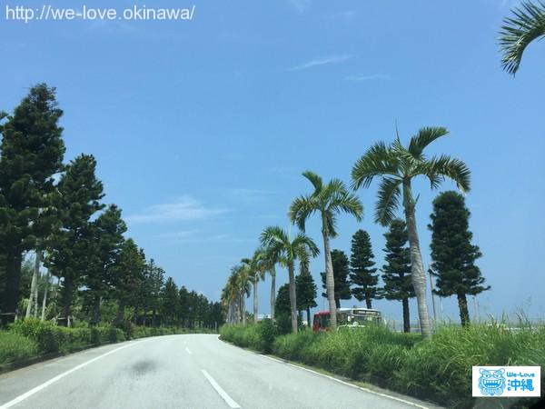 ドライブ青空