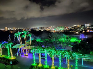 2019沖縄子供の国クリスマスファンタジーイルミネーション