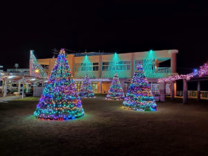 2019沖縄子供の国クリスマスファンタジーイルミネーション