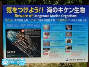 海の危険生物
